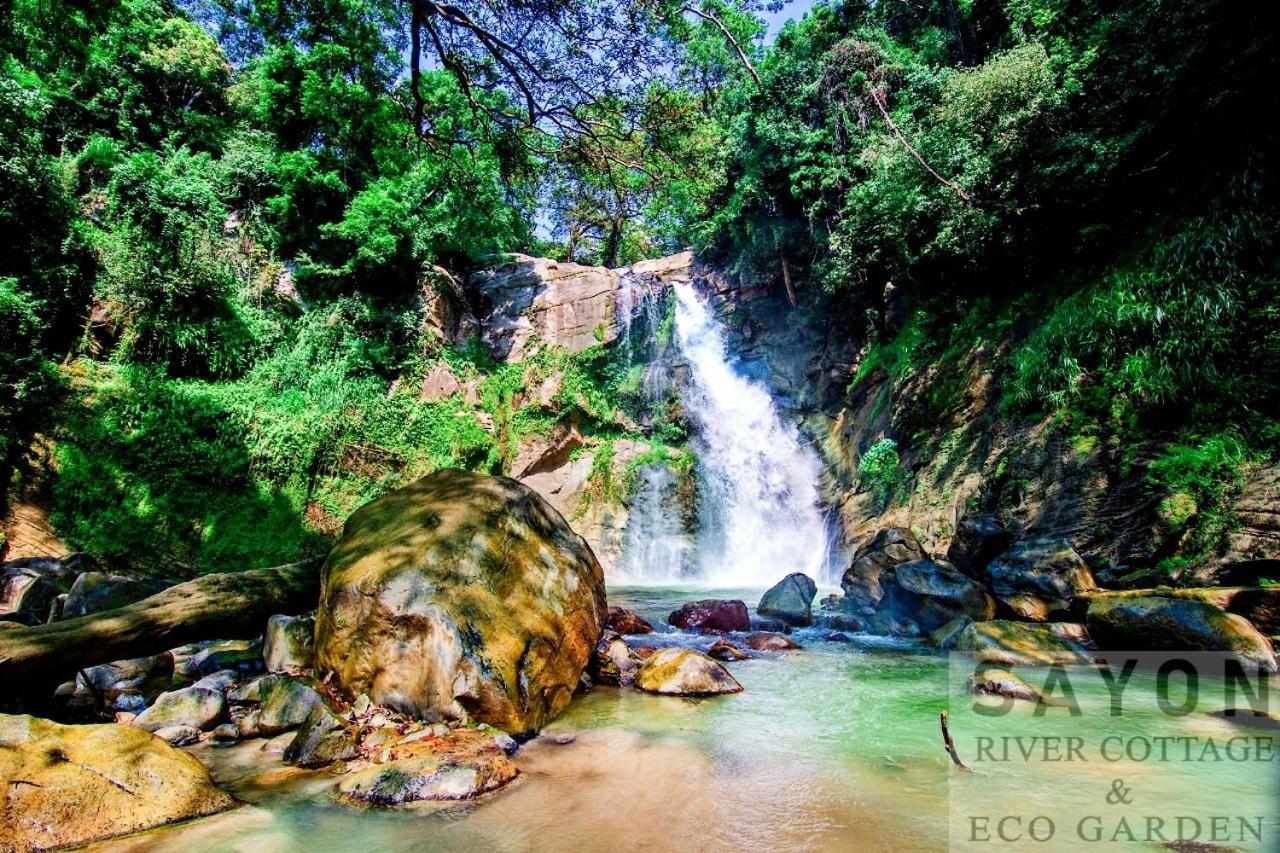 Sayon River Cottage & Eco Garden Monaragala Dış mekan fotoğraf