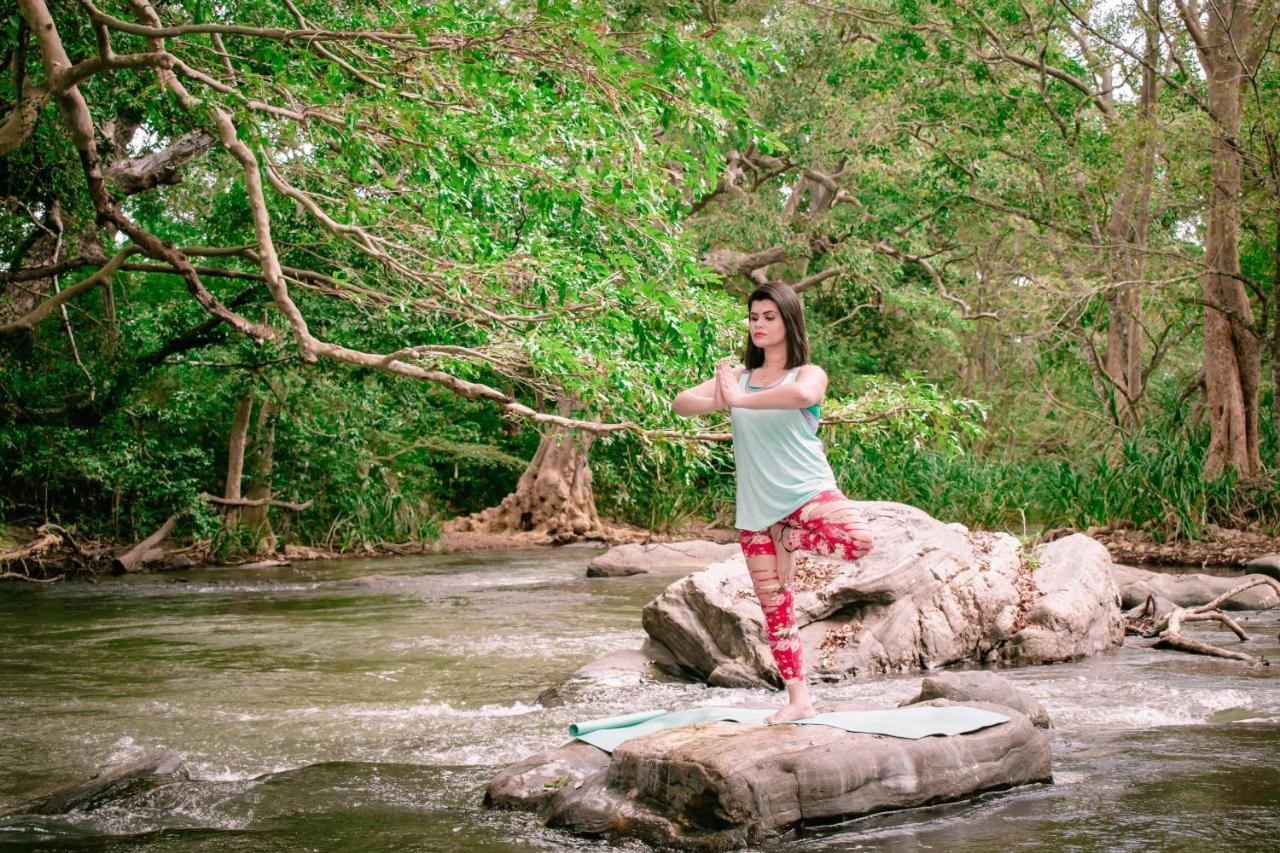 Sayon River Cottage & Eco Garden Monaragala Dış mekan fotoğraf