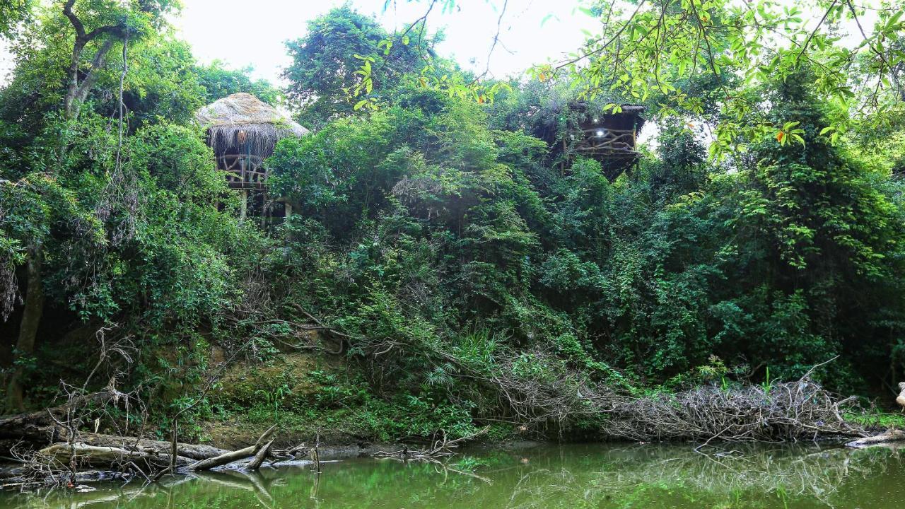 Sayon River Cottage & Eco Garden Monaragala Dış mekan fotoğraf