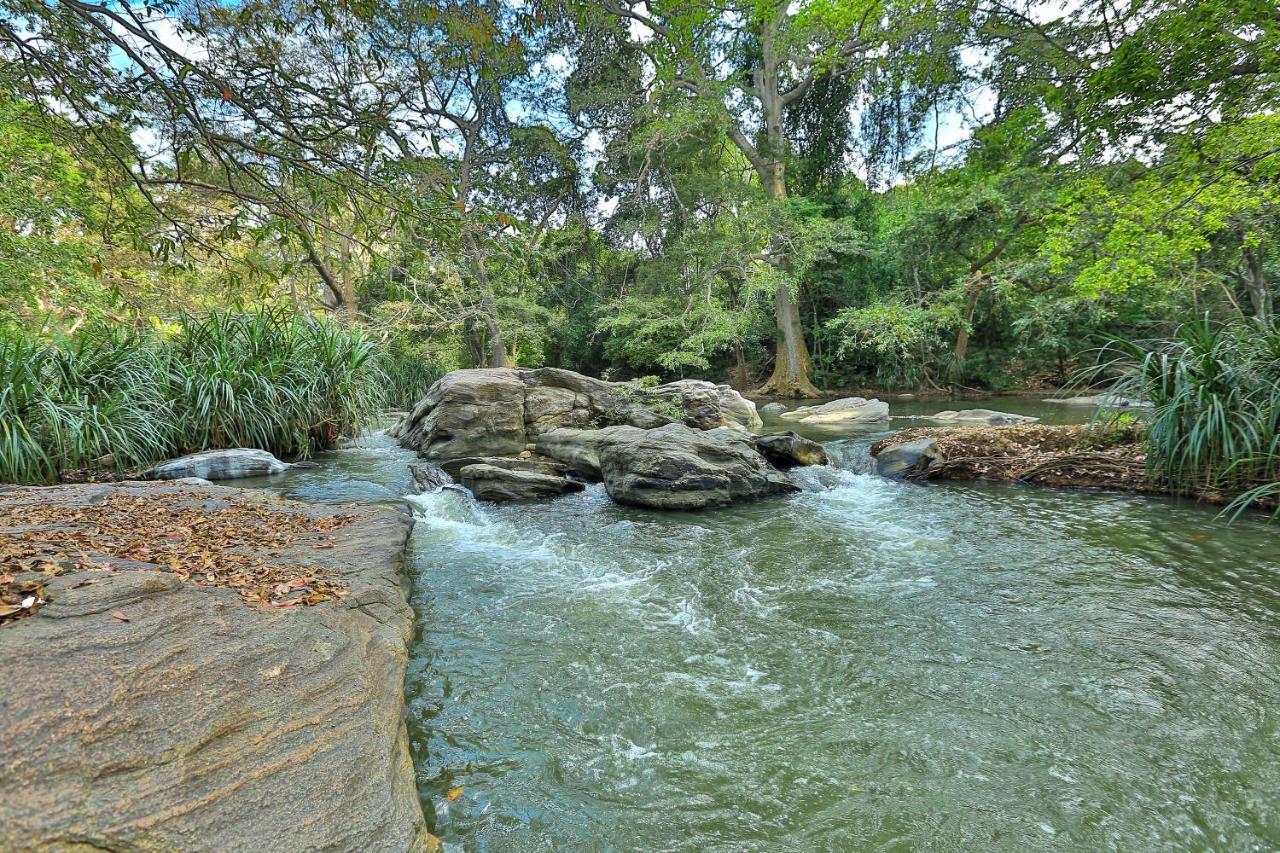 Sayon River Cottage & Eco Garden Monaragala Dış mekan fotoğraf